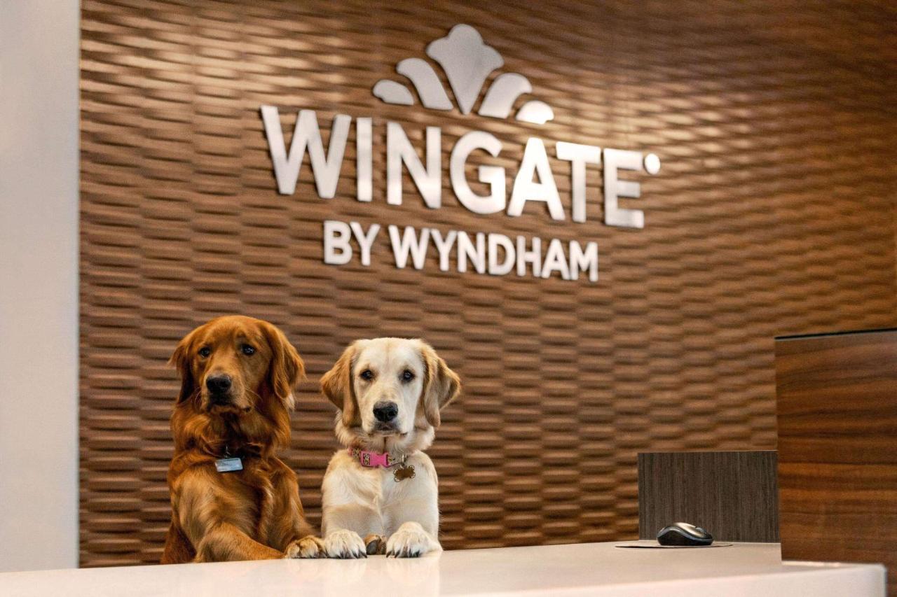 Отель Wingate By Wyndham Летбридж Экстерьер фото